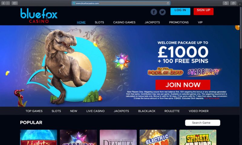 Visão geral do sítio oficial do casino online BlueFox