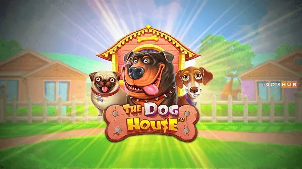 examen de dog house